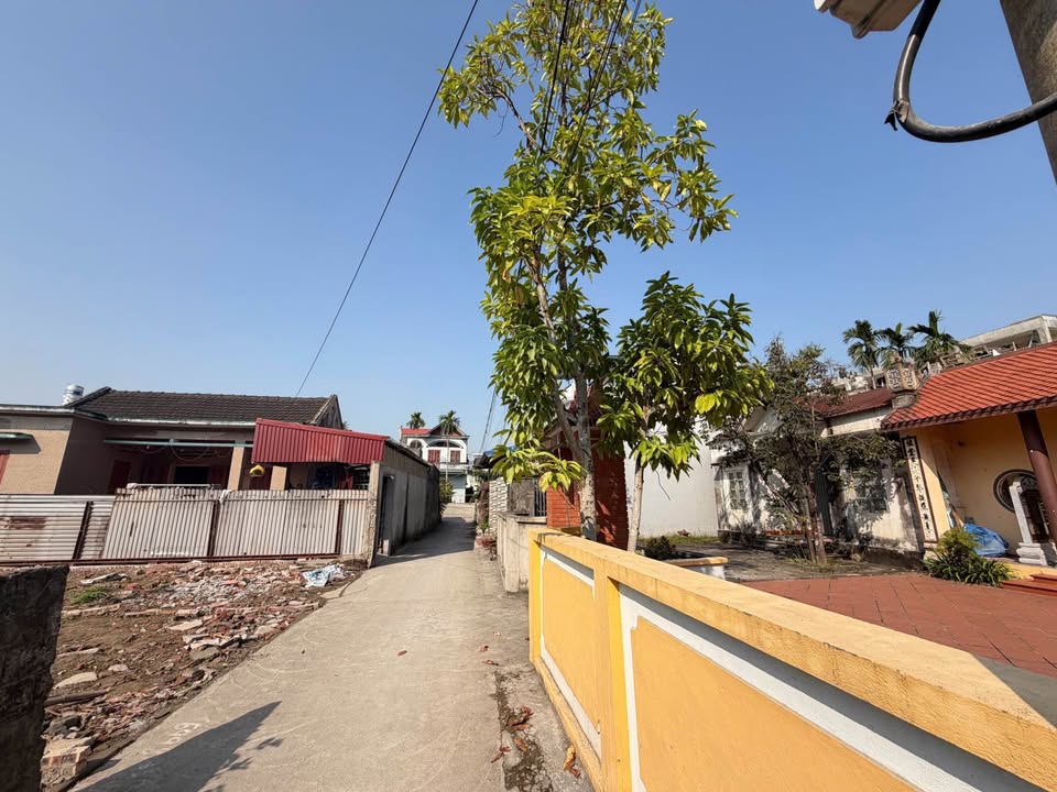 Đất nền Đào Yêu, An Hải, 66m² giá chỉ 1.4 tỷ - Cơ hội đầu tư tuyệt vời!