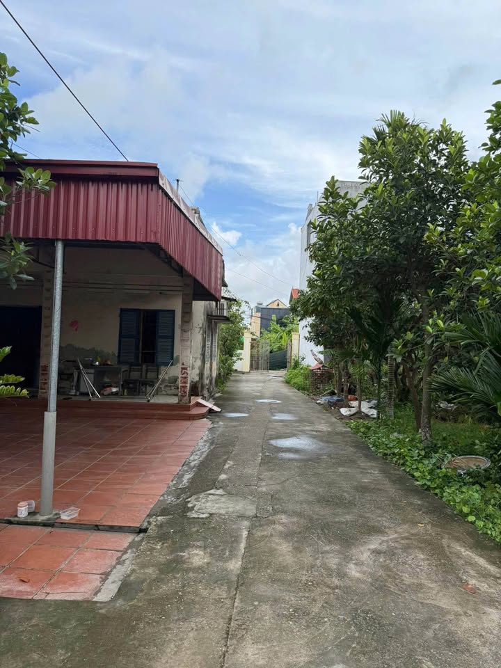 Nhà riêng Tổ dân phố Tê Chử, An Hải 45m² giá chỉ 500 triệu - Cơ hội đầu tư tuyệt vời!