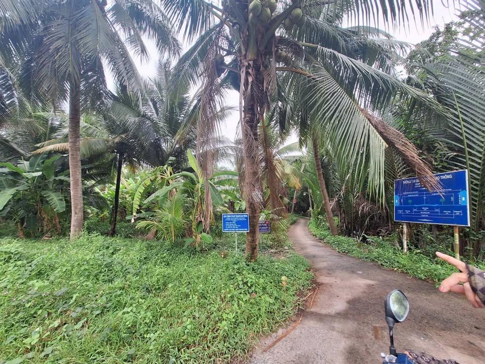 Đất 2 mặt tiền xã An Phước, Bến Tre 2380m² - Đầu tư lý tưởng!