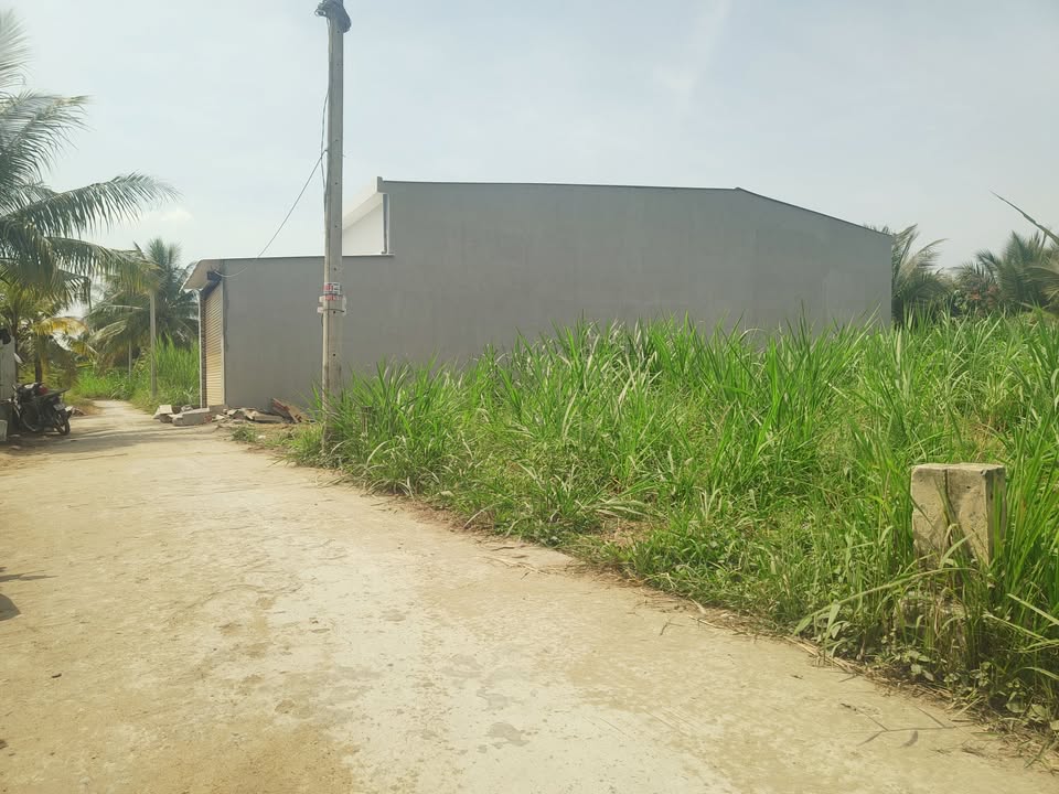 Đất thổ cư 151,4m² tại Bình Phú, Bến Tre - Giá chỉ 950 triệu!