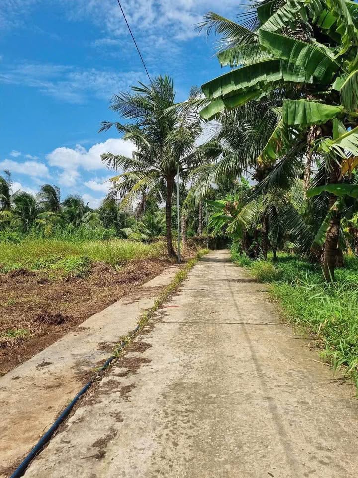 Đất nền Phường Phú Tân TP Bến Tre 147m² giá 750 triệu - Hẻm xe hơi thuận tiện