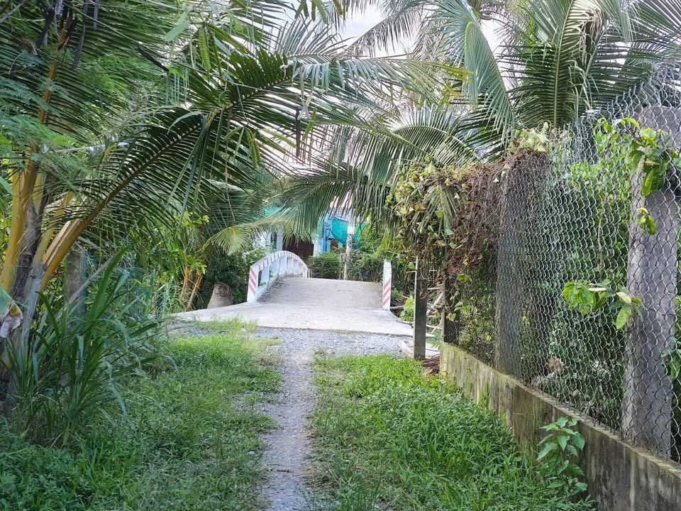 Đất nông nghiệp 2500m² tại xã Tân Xuân, Bến Tre - Giá chỉ 450 triệu!