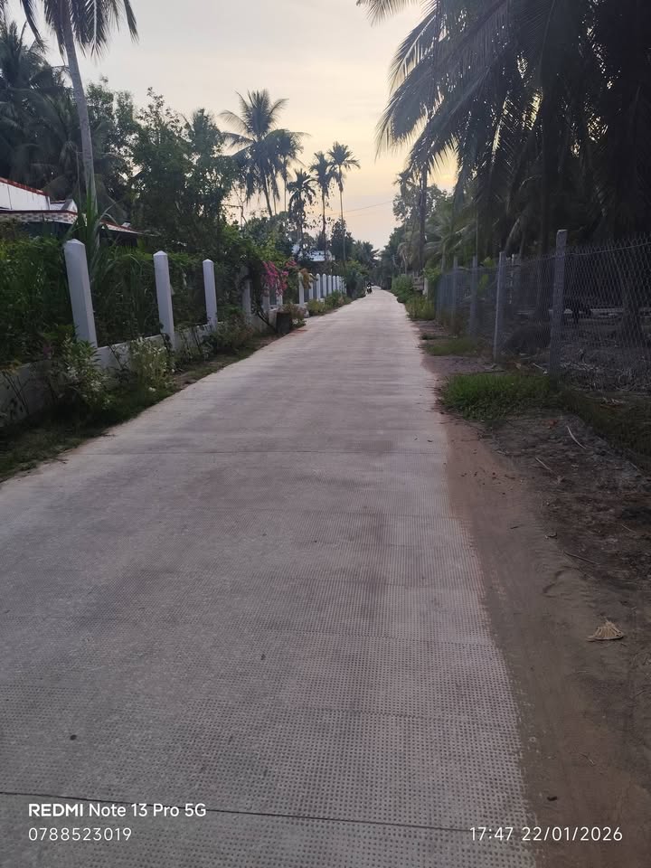 Đất nền tại Chợ Xếp, Tân Thành Bình 1000m² giá 1.4 tỷ - Gần trường học!