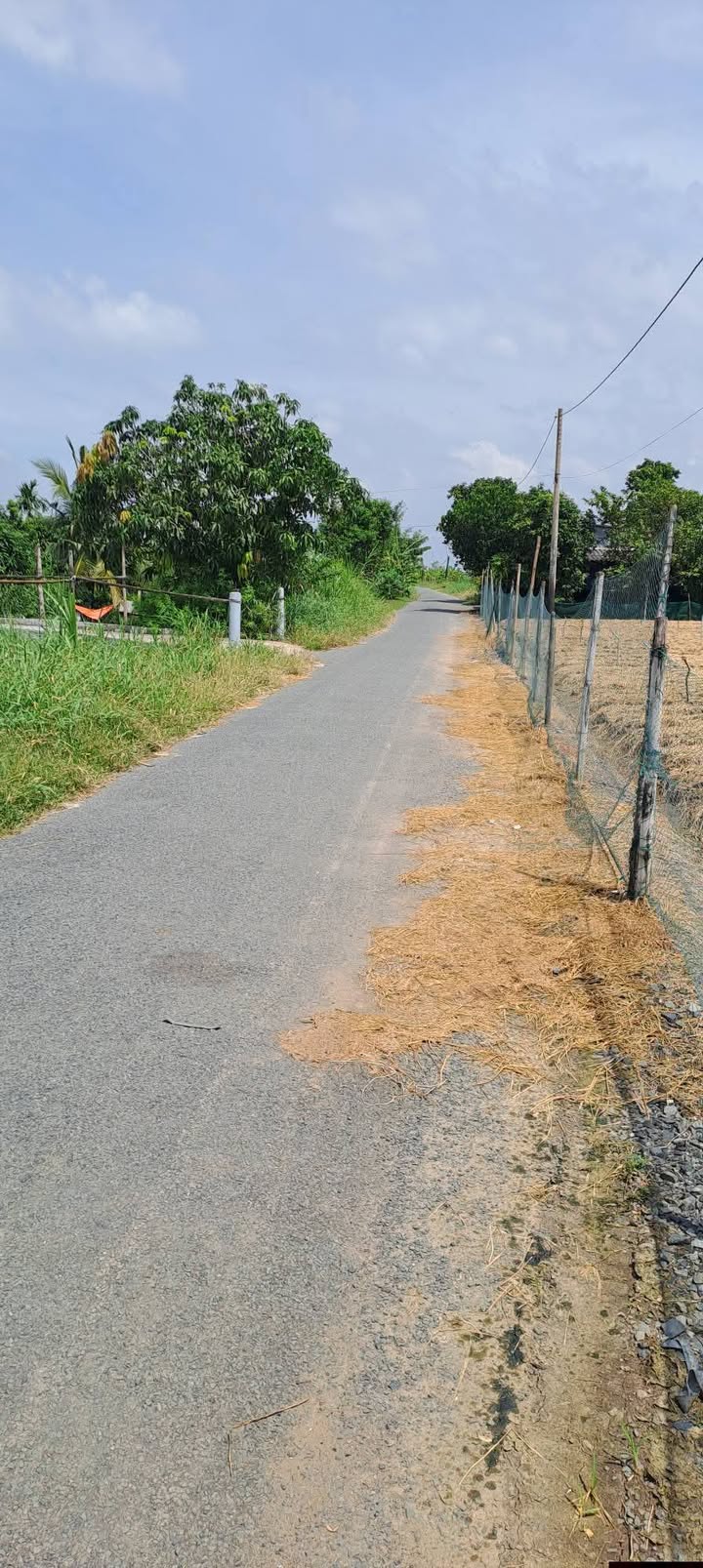 Đất mặt tiền đường nhựa Bình Ân 4000m² giá 2.8 tỷ - Đầu tư sinh lời tốt!