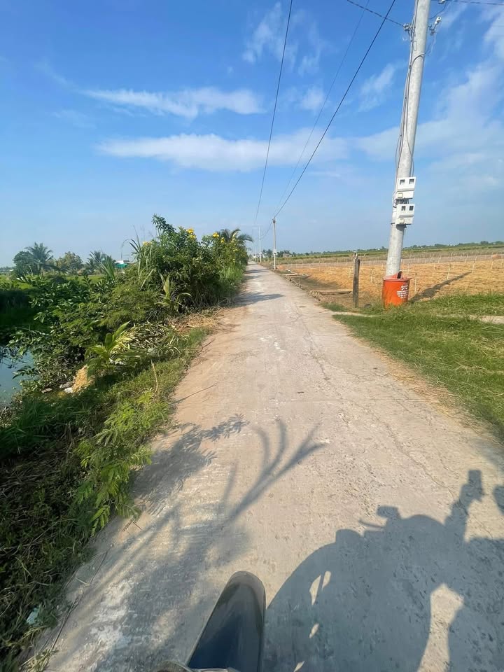 Đất nền mặt tiền kênh 1 xã Tân Điền 150m² giá 270 triệu - Sổ hồng chính chủ!