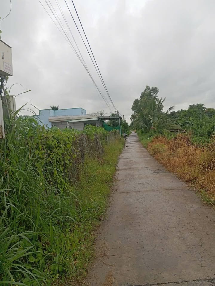 Đất nền 4200m² Tân Điền, Gò Công Đông chỉ 2.31 tỷ - Mặt tiền đường xe 7 chỗ rộng rãi!