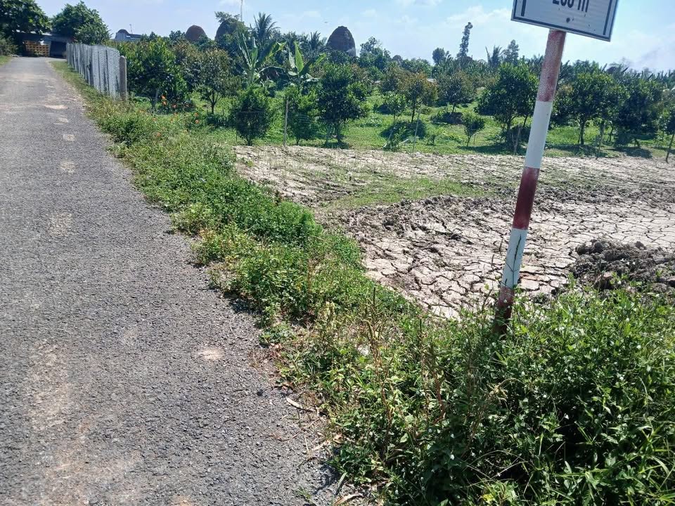 Đất lúa 900m² tại Xã Hòa Tịnh, Vĩnh Long - Giá chỉ 360 triệu!