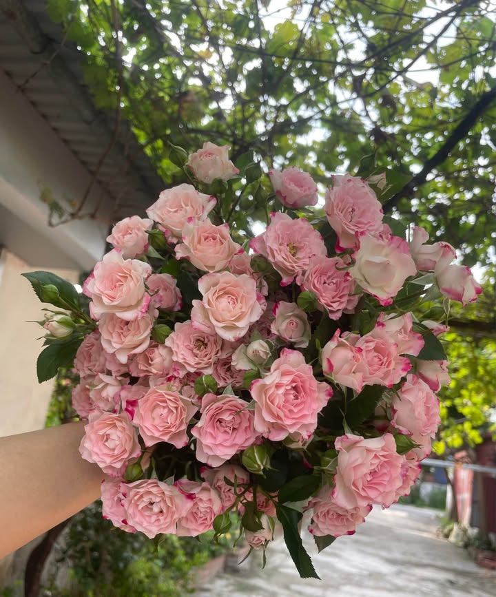 Nhà độc lập mới xây tại ngõ 345 Lê Lợi, Hải Phòng, 40m² - Giá chỉ 2.99 tỷ!