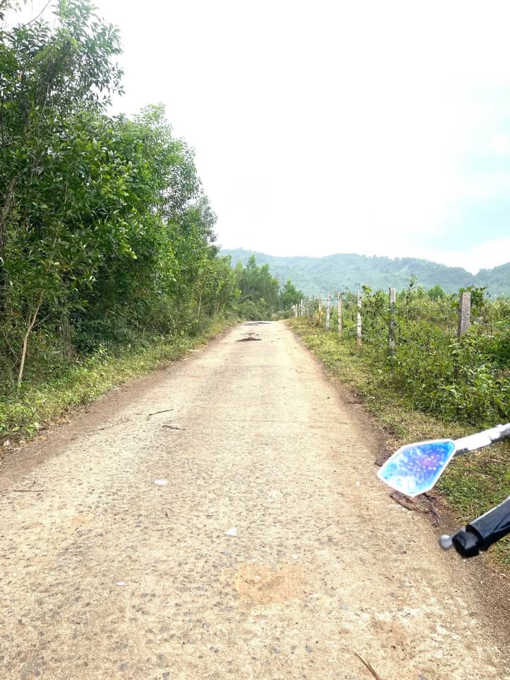 Lô Đất Diên Tân 1000m² giá 390 triệu - Nơi lý tưởng để đầu tư!