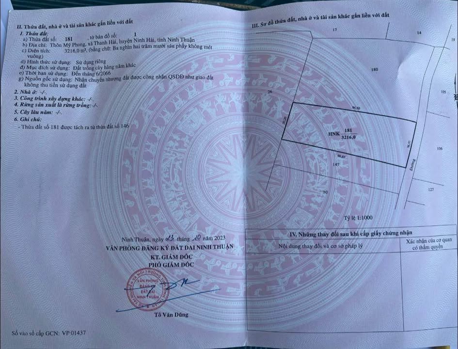 Đất nông nghiệp Mỹ Phong, Vĩnh Hải, Ninh Thuận 10.800m² - Đầu tư sinh lời hấp dẫn!