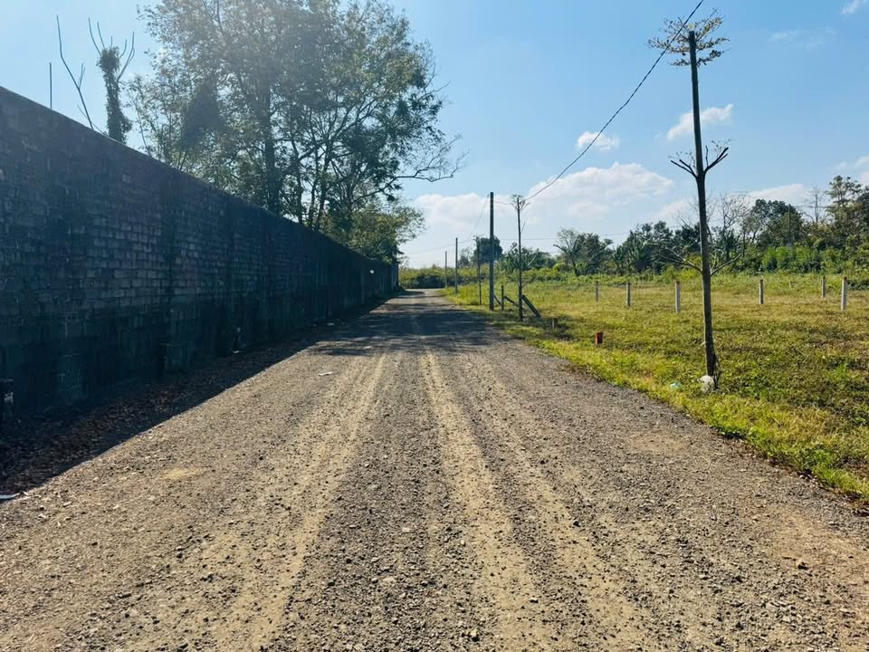 Đất nền 125m² tại Phường Hội Phú, giá chỉ 500 triệu - Đầu tư sinh lời!