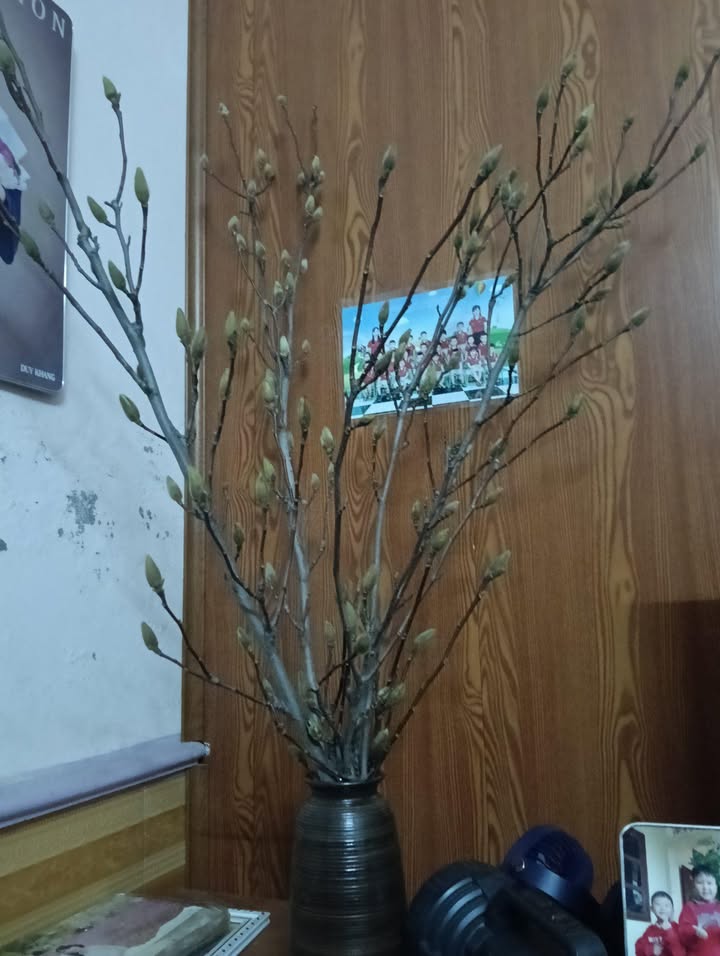 Lô đất đường Trần Xuân Soạn 61m² giá 1 tỷ - Cơ hội đầu tư hấp dẫn!