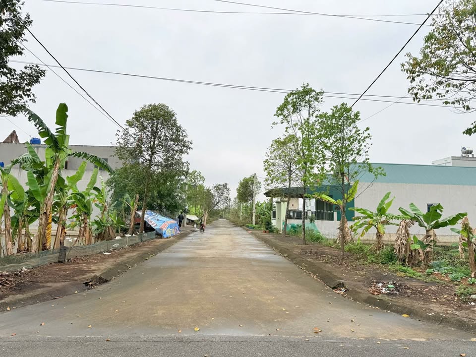 Đất nền Xã Đông Minh, Huyện Quảng Xương 200m² giá 1.3 tỷ - Cạnh chợ, cơ hội đầu tư tốt!