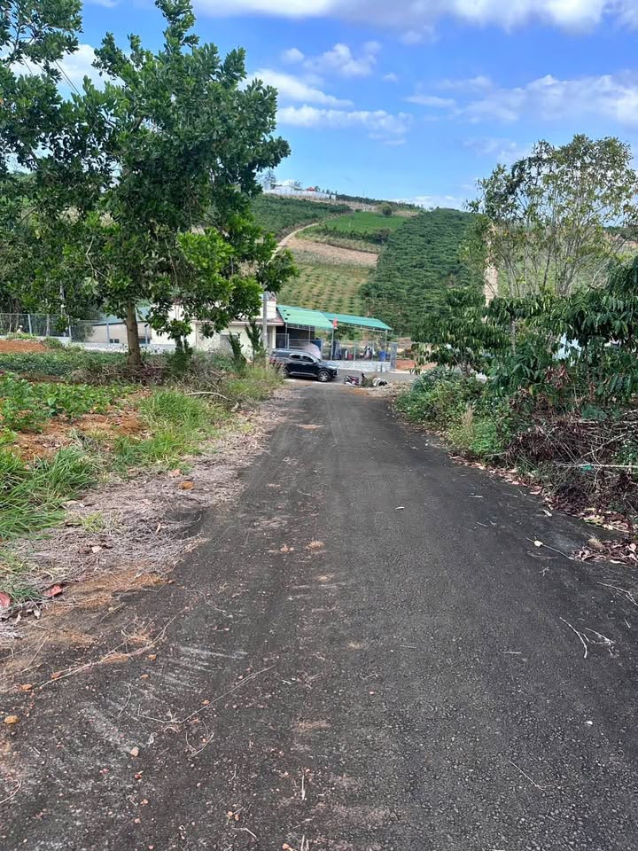 Đất thổ cư 200m² hẻm 02 Tản Đà, Quận 5 - Giá 1.5 tỷ, Sổ hồng chính chủ!