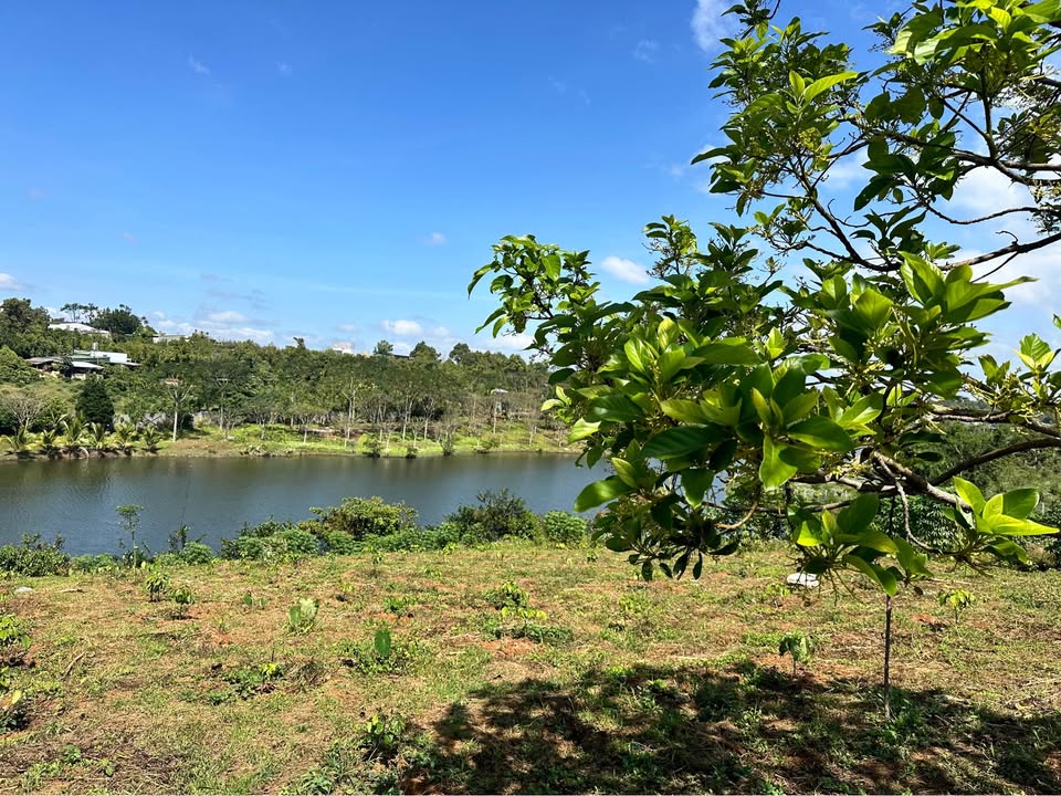 Đất nền 1000m² mặt hồ Thôn 6 Lộc An - Giá chỉ 1.8 tỷ, cơ hội hiếm có!