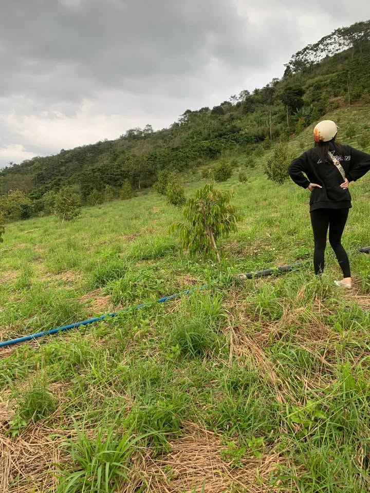 Đất thổ cư thôn 10 Lộc Nam 3600m² giá 1.56 tỷ - Cần bán gấp trước Tết!