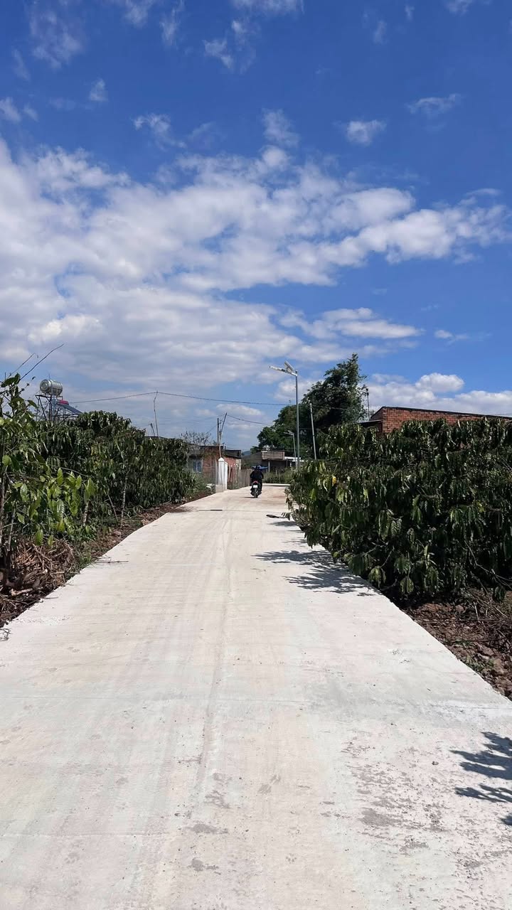 Đất thổ cư 200m² tại Tân Hội, Đức Trọng giá 650 triệu - Sổ hồng riêng sẵn!