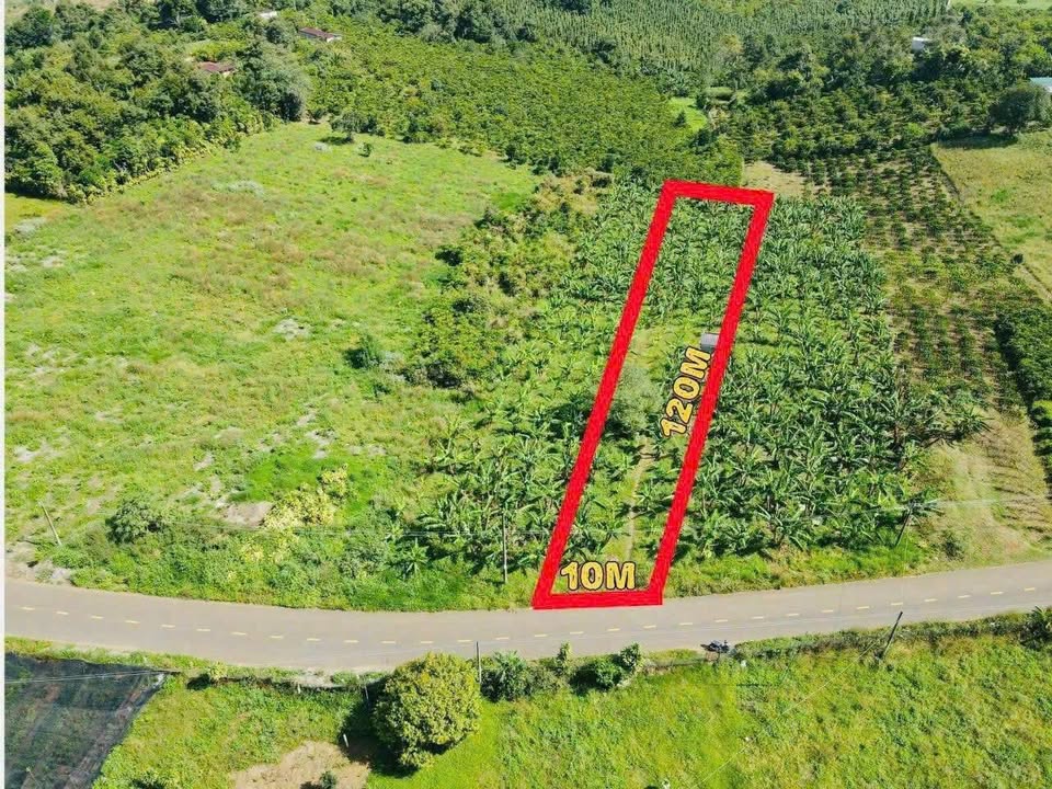 Đất nền mặt tiền Âu Cơ Tân Lạc 1200m² giá 1.7 tỷ - Đầu tư sinh lời nhanh!