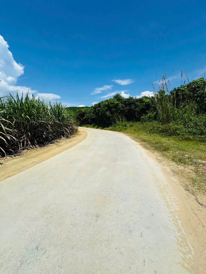 Đất vườn Diên Đồng Diên Khánh 1400m² giá chỉ 580 triệu - Sổ đỏ chính chủ