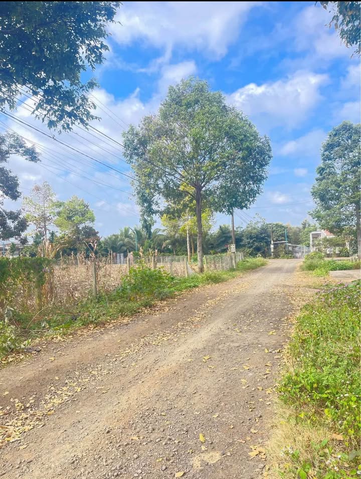 Đất nền đường Phan Bội Châu, xã Ea Đar, 150m² giá 1 tỷ - Cơ hội đầu tư hấp dẫn!