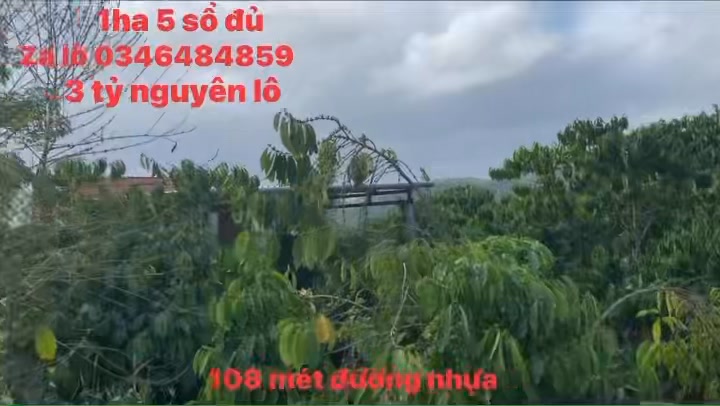 Đất cà phê 1.54ha tại xã Nam Ka, Đắk Lắk - Đang kinh doanh ổn định!