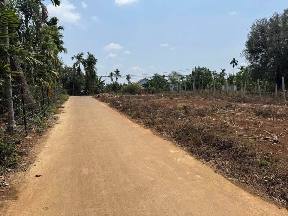 Đất nền giá rẻ tại xã Ea Ktur, Đắk Lắk 125m² chỉ 290 triệu - Cơ hội đầu tư hấp dẫn!