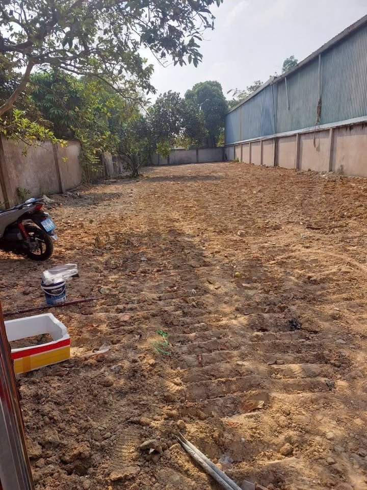 Đất nền Phường Bình Chuẩn, Thuận An 560m² - Đầu tư lý tưởng cho biệt thự!