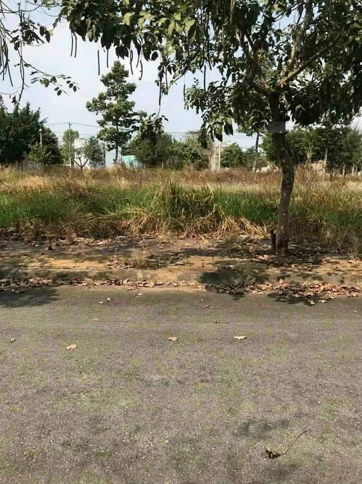 Đất nền tại KDC Lợi Bình Nhơn, Tân An - 80m² giá chỉ 1.25 tỷ - Cơ hội đầu tư tốt!