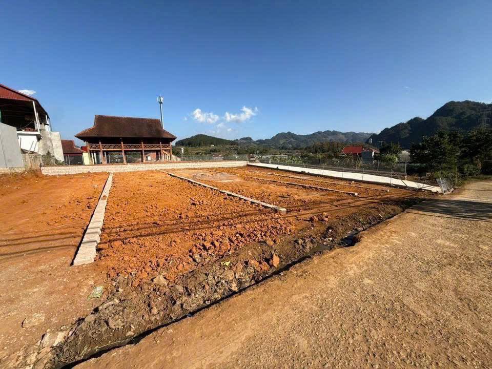 Đất nền Rừng Thông Mộc Châu 115m² giá đầu tư - Cơ hội vàng không thể bỏ lỡ!