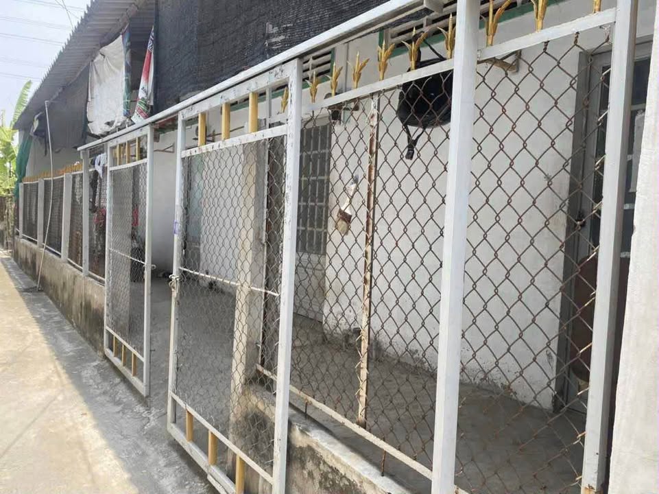 Dãy Nhà trọ 5 căn tại Phường Long An, Tây Ninh - Giá chỉ 1 tỷ!