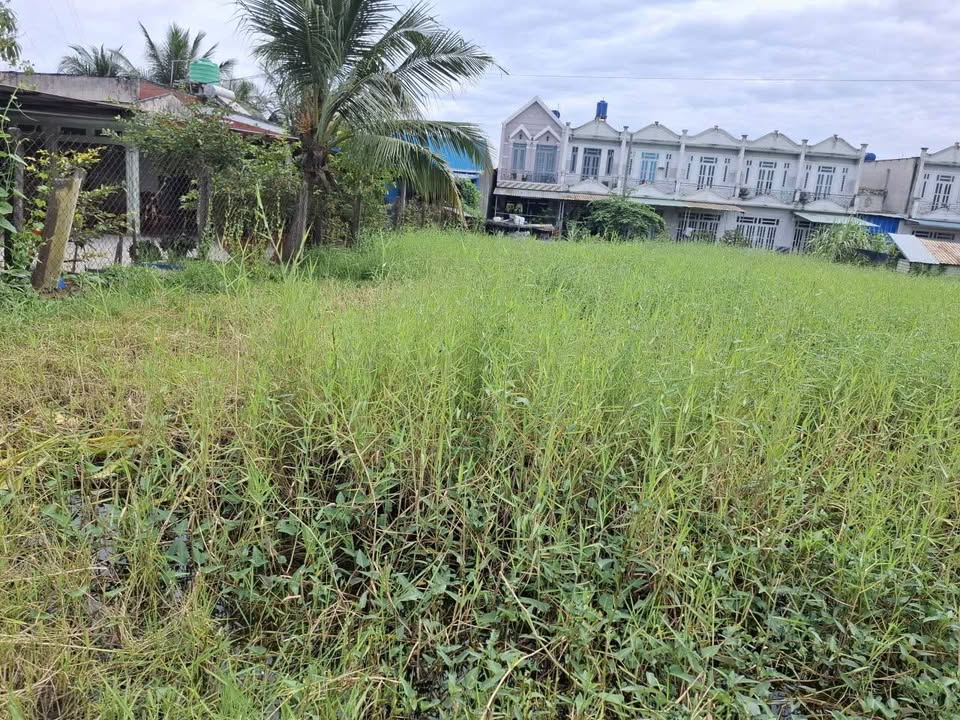 Đất nền 135m² tại Ấp Mới 2, Xã Mỹ Hạnh - Sổ hồng chính chủ - Giá tốt 1.45 tỷ!