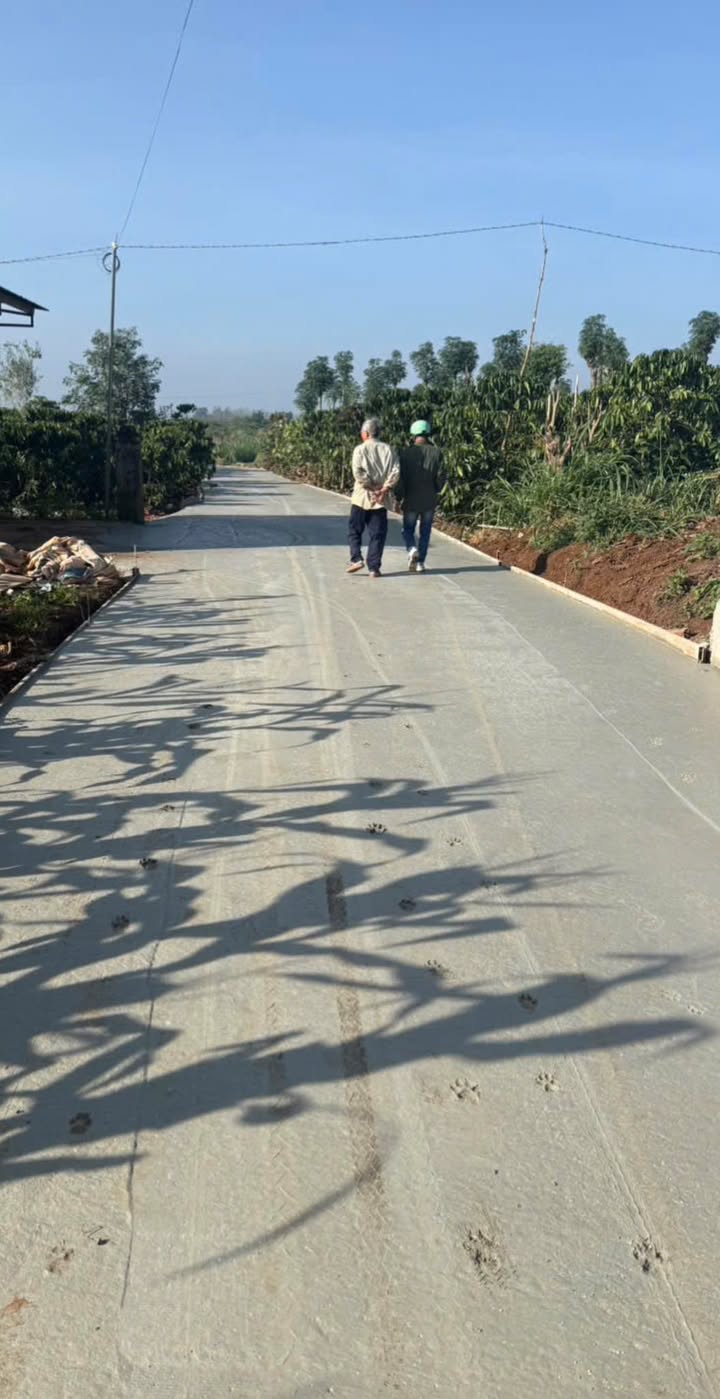 Đất nền 205m² xã Tân Hội, Đức Trọng giá chỉ 600 triệu - Cơ hội đầu tư hiếm có!