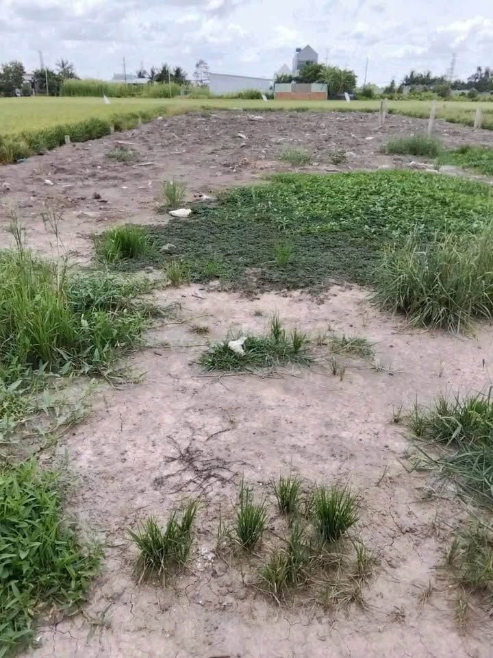 Đất Thổ cư 870m² tại Thạnh Đức, Bến Lức - Giá 2.2 tỷ - Thích hợp nghỉ dưỡng