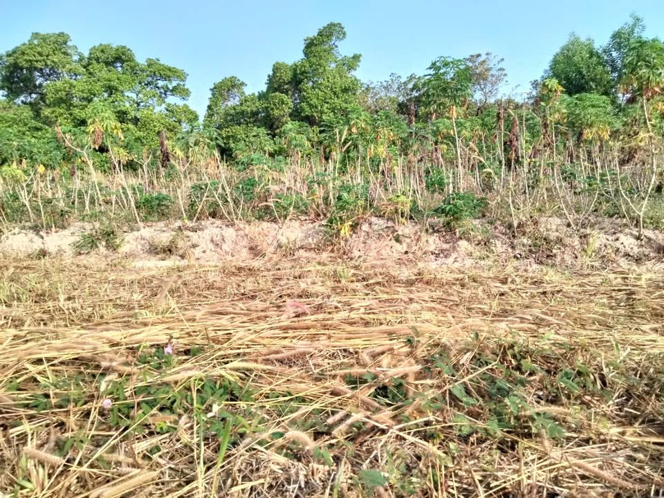 Đất nền Phường Hắc Dịch, Phú Mỹ 500m² giá 580 triệu - Cơ hội đầu tư không thể bỏ lỡ!