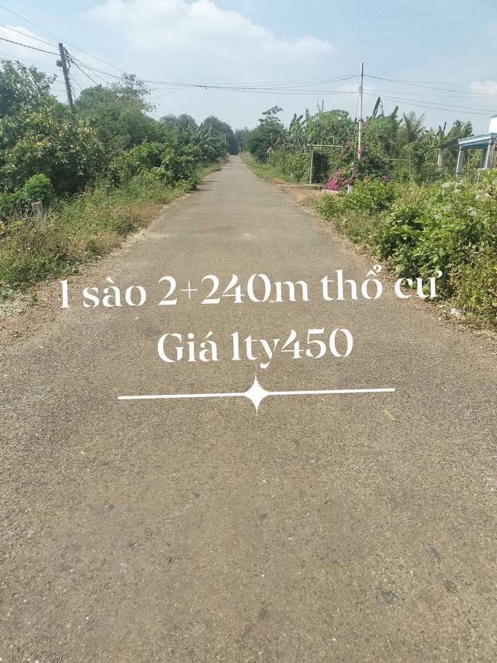 Đất nền 4240m² đường nhựa rộng 6m tại Bình Tân - Giá chỉ 1.45 tỷ!