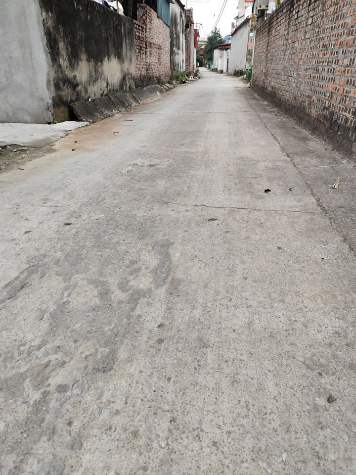 Đất nền tại xã Đào Dương, huyện Ân Thi 200m² giá 600 triệu - Cơ hội đầu tư hấp dẫn!