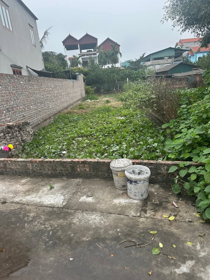 Bán đất Bến Long, Song Liễu, 100m² giá 4.2 tỷ - Lô đất vuông vắn, vị trí đẹp!