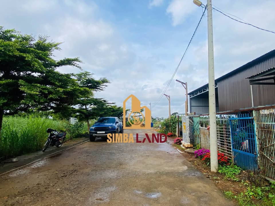 Đất nền Đức Trọng 115m² giá 1.37 tỷ - Đầu tư sinh lời ngay!