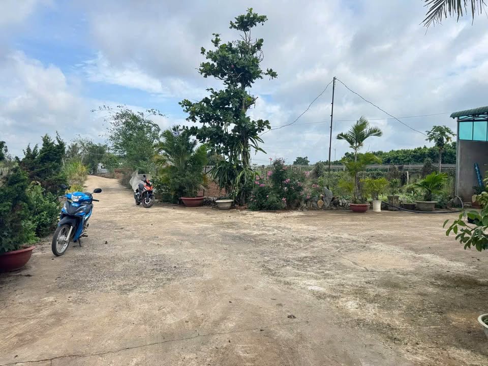 Đất nền xã Phú Hội, huyện Đức Trọng 174m² giá 850 triệu - Đầu tư sinh lời ngay!