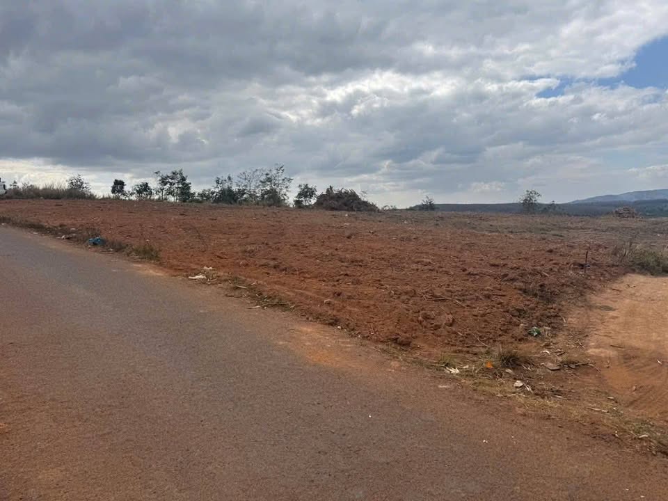 Đất trống 8.500m² tại xã Ea H'leo, Đắk Lắk - Giá 850 triệu - Cơ hội đầu tư hiếm có!