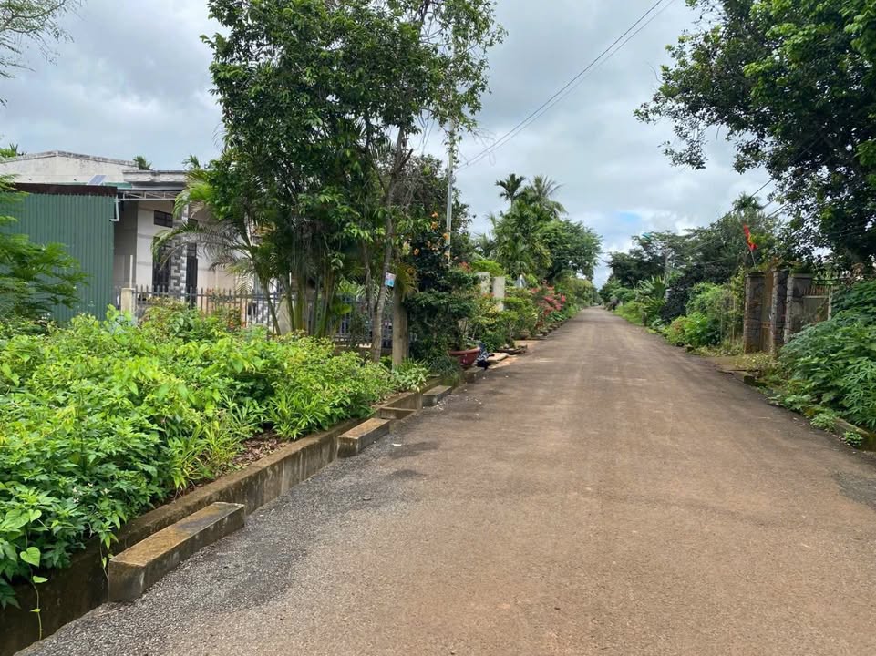 Đất thổ cư Hòa Thắng, Buôn Ma Thuột 200m² giá 2.35 tỷ - Đầu tư sinh lời ngay!