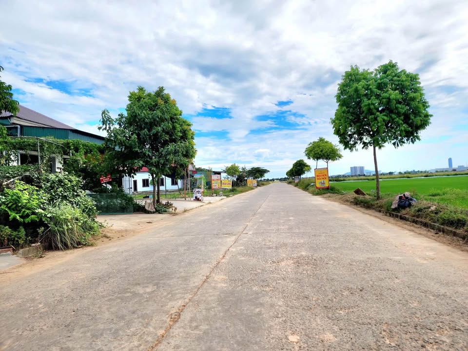 Đất nền Thôn Nam Thượng, Xã Thạch Đài 229.8m² giá 3 tỷ - Vị trí kinh doanh tuyệt vời!