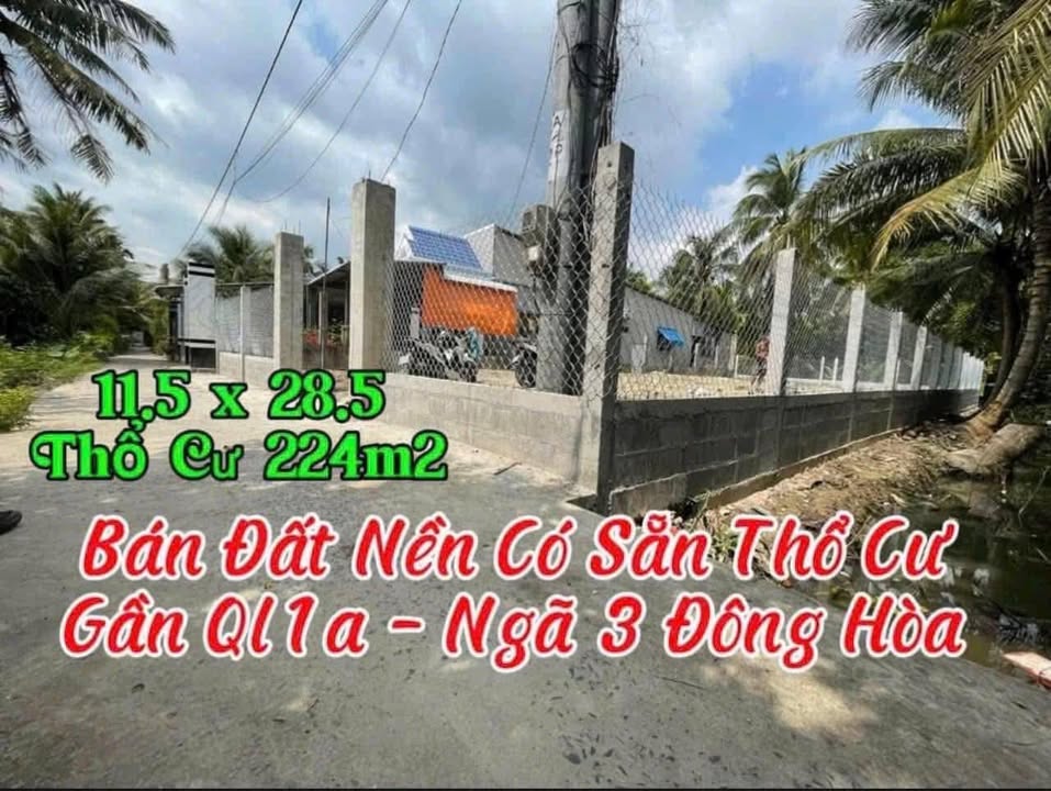 Đất thổ cư 224m² xã Đông Hòa, Châu Thành, Tiền Giang giá 790 triệu - Đầu tư sinh lời ngay!