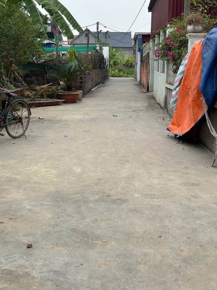 Đất liền kề tại Kiều Hạ 1, An Lão, Hải Phòng - Diện tích 62m², giá thỏa thuận