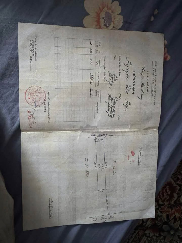 Đất nền mặt đường 351 - An Dương 100m² giá 4.5 tỷ - Vị trí đắc địa cho đầu tư!