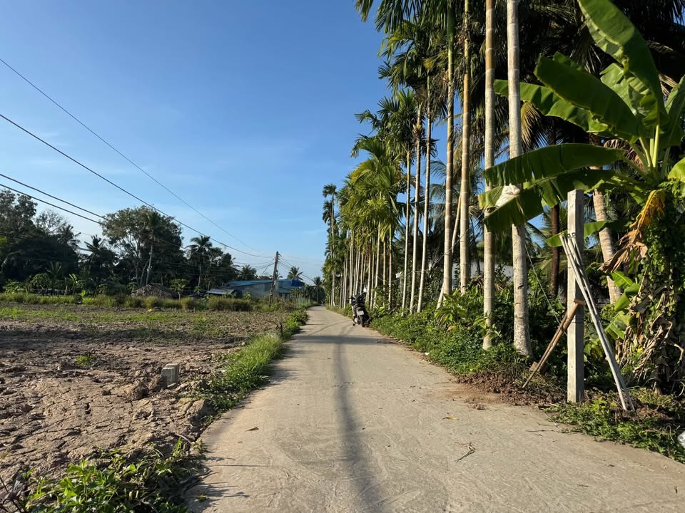 Đất nền mặt tiền đường đal ô tô Xóm Ngọn, xã Tài Văn, 500m² - cơ hội đầu tư tuyệt vời!