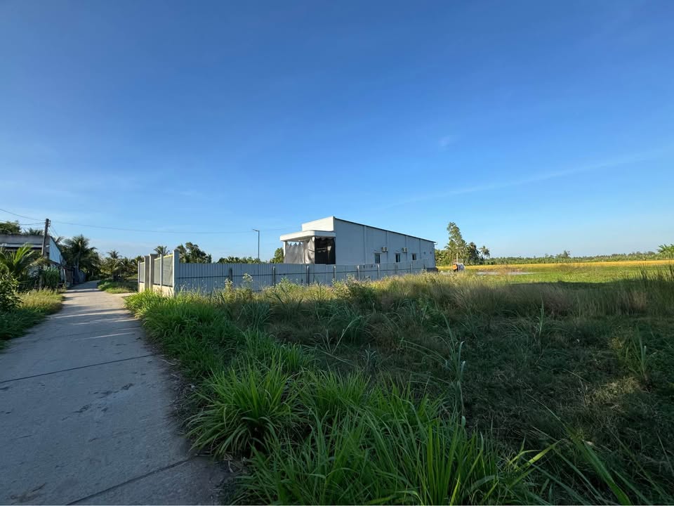 Đất nền liền kề Xóm Ngọn, Trần Đề 1022m² giá chỉ 350 triệu - Đầu tư sinh lời cao!