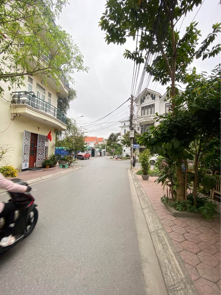 Đất nền lô góc 225m² tại phường Đằng Giang, Hải Phòng - Giá chỉ 60 triệu/m²!