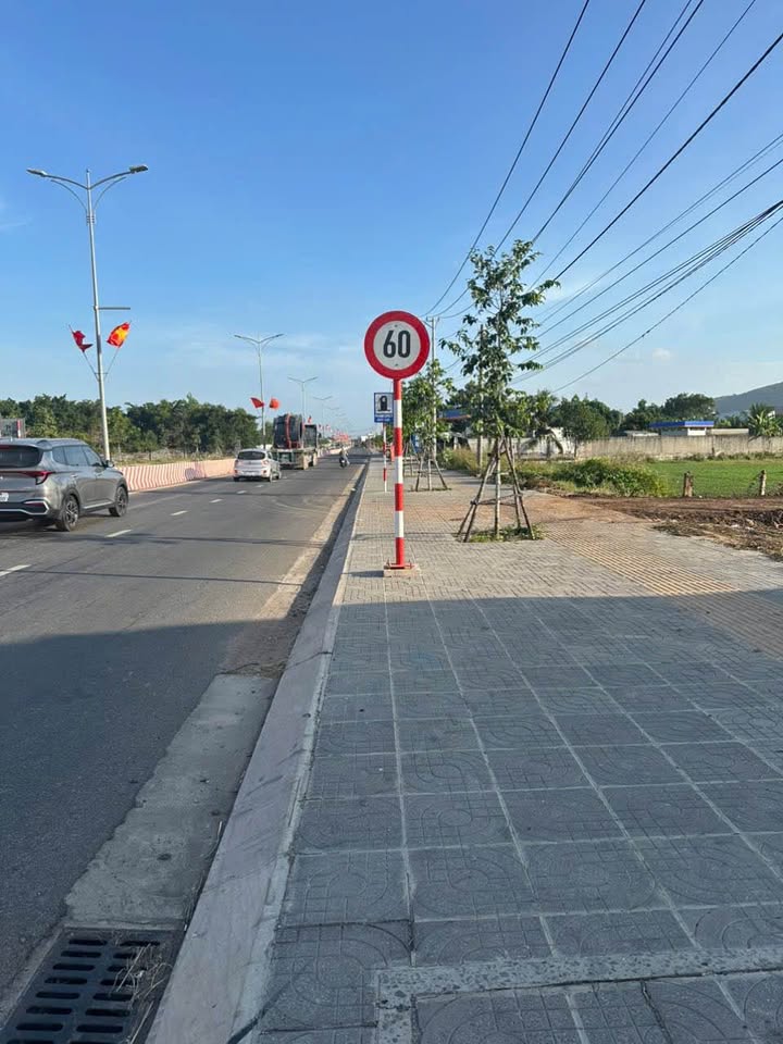 Đất nền mặt đường TL 44B, Tam An 120m² chỉ 2.1 tỷ - Cơ hội đầu tư hiếm có!