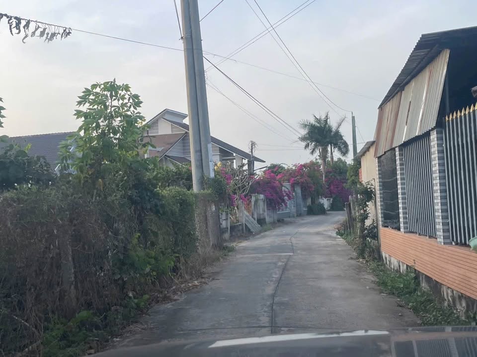 Đất nền ấp Thanh An, Xã Láng Dài, 175m² - Cơ hội đầu tư tuyệt vời!